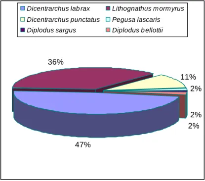 Figura  7  -  Percentagem  de  espécies  rejeitadas  durante  o  período  de  amostragem  das  provas  de  pesca  desportiva  de  mar
