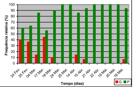 Figura  8  -    Variação  da  percentagem  de  grades  (G)  (participantes  que  não  capturaram  nenhum  exemplar)  e  de  pescadores (P) (indivíduos que capturaram um ou mais exemplares) ao longo da monitorização 