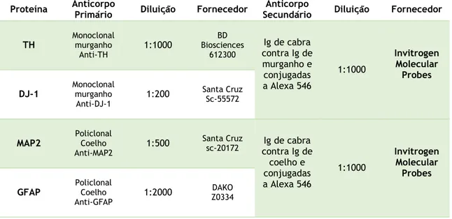 Tabela  1.  Descrição  dos  anticorpos  utilizados  na  técnica  de  imunocitoquímica