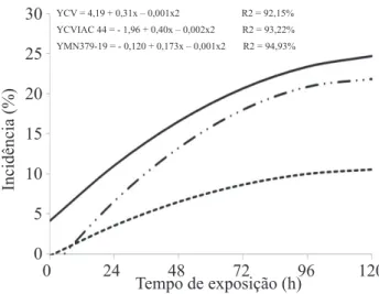 Figura 1. Valores médios de incidência, em porcentagem,  de  C. gloeosporioides em função dos tempos  de exposição das sementes, com pergaminho,  para as cultivares de cafeeiro, Catuaí vermelho,  Catuaí vermelho IAC 44 e Mundo novo IAC  319-19