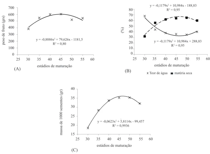 FIGURA 1. Massa de fruto (A), teor de água nas sementes (B) e massa de 1000 sementes (C) de pepino colhidos em  diferentes estádios de maturação (dias após antese)