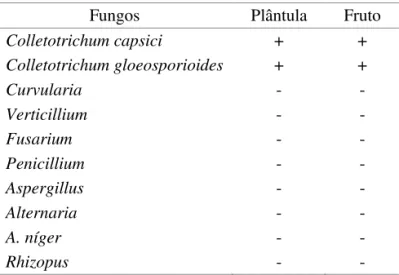 TABELA  2.  Patogenicidade  a  plântulas  e  frutos  de  pinhão manso de fungos transportados por  sementes de pinhão manso.