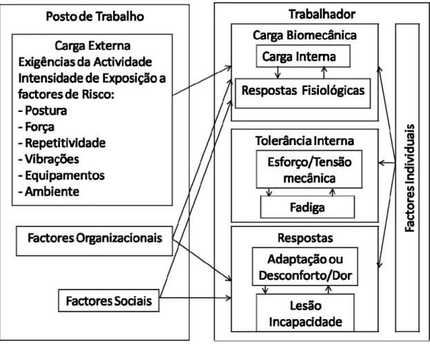 Figura 2: Modelo conceptual das possíveis causas e influências na manifestação /  desenvolvimento das LMELT (Fonte: N.R.C./I.O.M., 2001)