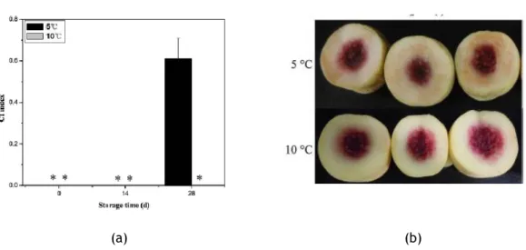 Fig. 6 – a) Índice do dano por frio; b) Corte do pêssego – análise visual do dano (Yu et al., 2015)