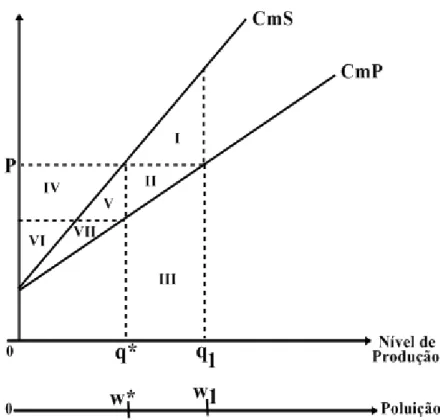 Figura 6 – Externalidade ao nível da unidade de produção 