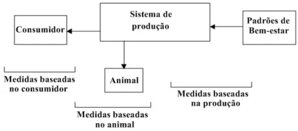 Figura 9 - Medidas de bem-estar animal nas explorações e sua relação umas com as outras (adaptado de  Bennett et al., 2000) 
