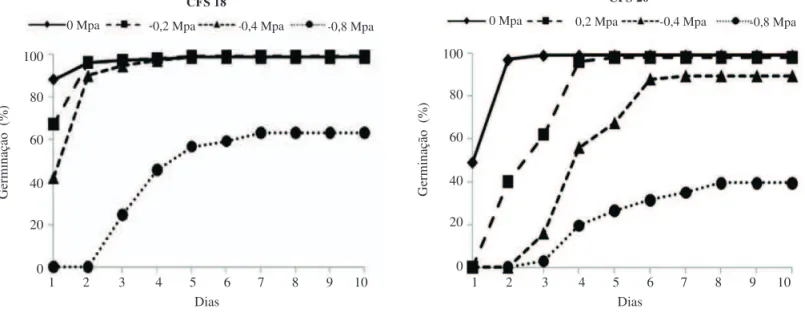 FIGURA 1. Evolução da germinação de sementes de dois genótipos de sorgo (CSF 18 e CSF 20) sob diferentes níveis  de estresse hídrico.