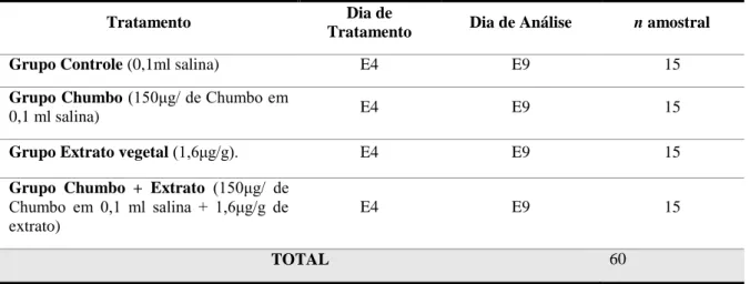 Tabela 1: Quatro grupos experimentais conforme o tratamento. 