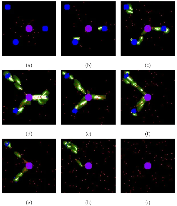 Figure 2.7: StarLogo simulation of the foraging behaviour of an ant colony: (a) scouts start a random search; (b) founded food in the return to the nest they leave a pheromone trail; (c) all sources of food where found; (d)-(e) one of the source was comple