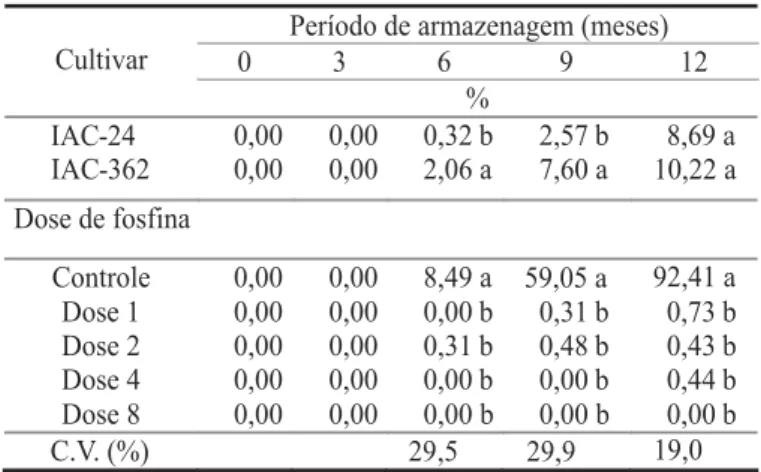 TABELA 3. Porcentagens de sementes infestadas de trigo após a aplicação de fosfina, durante armazenamento em condições não controladas