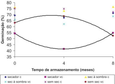 FIGURA 2. Perfil eletroforético de proteínas extraídas pelo calor em sementes de cafeeiro nos estádios cereja (C) e verde cana (V), não submetidas a secagem (1), submetidas a secagem em secador (2) e secagem à sombra (3), armazenadas por 0, 4 e 8 meses