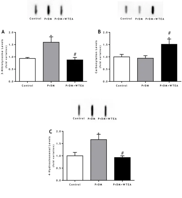 Figure 9 - Effect of WTEA consumption on oxidative damages in lung tissue A) protein nitration levels; B)  carbonylation levels C) lipid peroxidation levels in the control group, PrDM rats and PrDM+WTEA