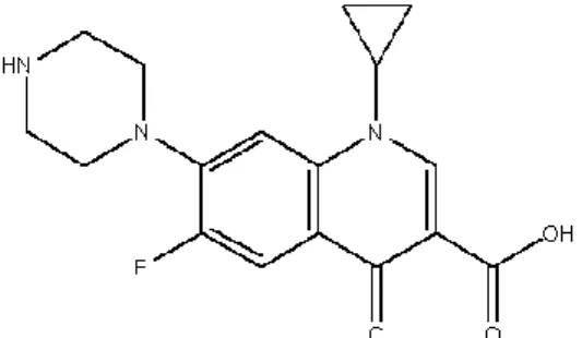 Figura 1.13 - Representação da estrutura química da ciprofloxacina