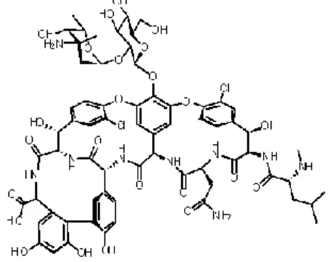 Figura 4.1 - Representação da estrutura química da vancomicina