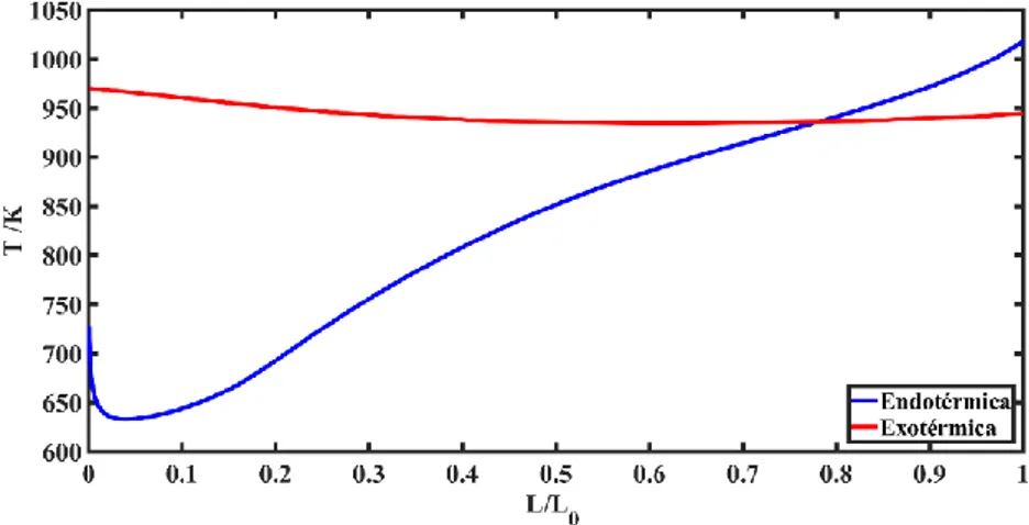 Figura 2 – Perfis de temperatura do caso base 