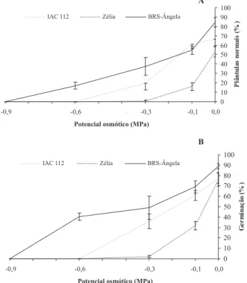 FIGURA 1. Porcentagem de plântulas normais na primeira contagem (A) e contagem final (B) do teste de germinação das sementes de três cultivares de milho-pipoca, submetidas a cinco níveis de potencial osmótico em solução de KCl.