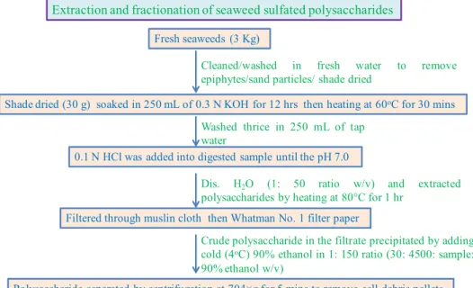 Fig. 1    Flow chart for the extrac- extrac-tion and fracextrac-tionaextrac-tion of  sea-weed sulfated polysaccharides