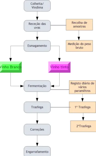 Figura 3.2: Processo de Produção de Vinho.