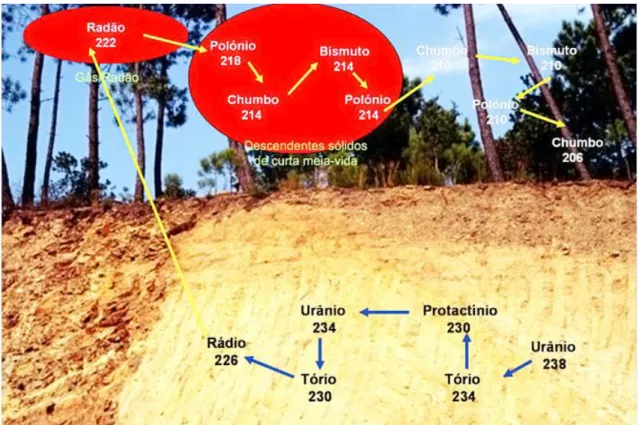 Figura 2.1 - Imagem com os sucessivos decaimentos desde o Urânio até ao Chumbo (5). 