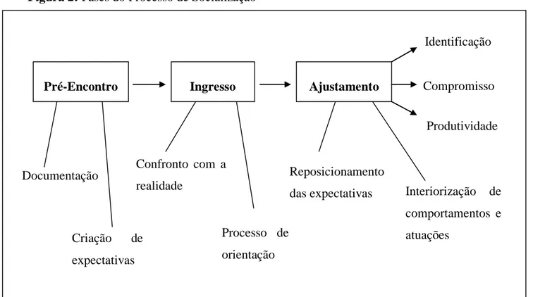 Figura 2: Fases do Processo de Socialização 