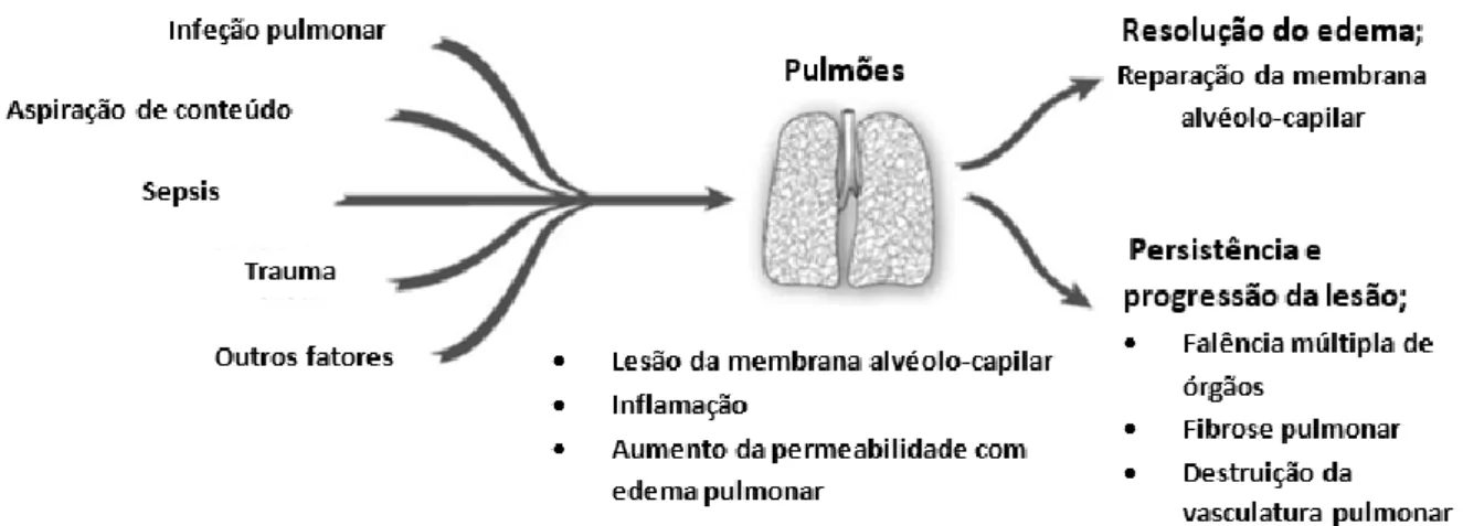 Figura 2.3 – História natural da Síndrome de Dificuldade Respiratória Aguda. Adaptado  de Johnson et al., 2010  4