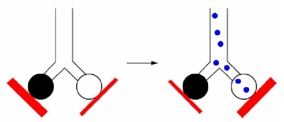 Figura 2.5 – Efeito dos vasodilatadores inalados.  
