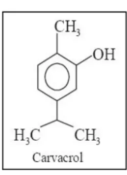 Figura 1.3. Estrutura química do carvacrol. 
