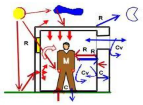 Figura 2 - Principais trocas térmicas entre o homem e a edificação, adaptado de (Carvalho, 2011)