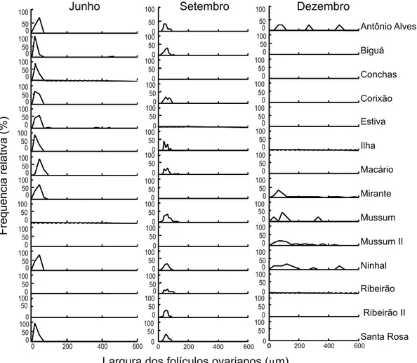 Figura 7. Distribuição de freqüência relativa (%) da largura dos folículos ovarianos (µm) de M