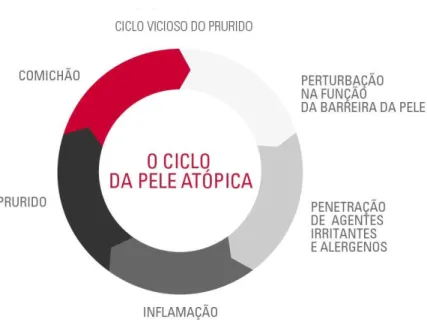 fig. 4 Ciclo vicioso do prurido segundo a Eucerin.