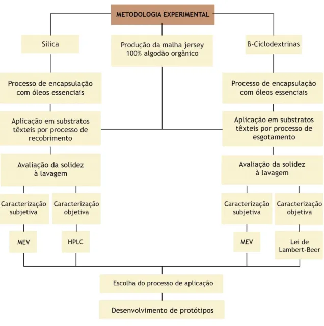 fig. 8  Esquema da componente experimental