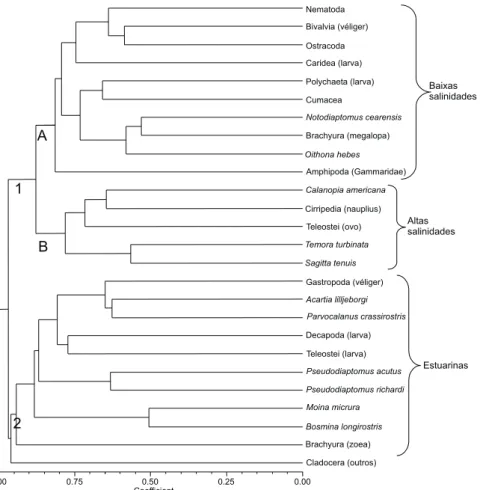 Figura 7. Associação dos organismos mesozooplanctônicos coletados no sistema estuarino de Barra das Jangadas, durante os períodos seco e chuvoso.