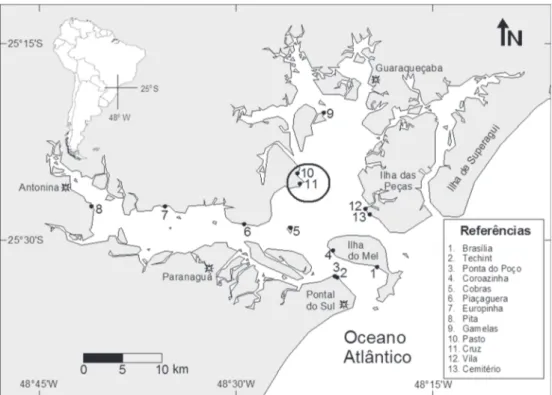 Tabela I. Características abióticas das zonas praiais onde foram registradas as ocorrências dos indivíduos de Diglotta brasiliensis para as praias estuarinas da Baía de Paranaguá, Paraná.