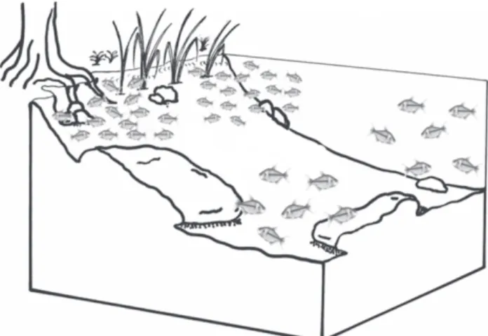 Figura 1. Mapa da região da bacia hidrográfica do baixo rio Tibagi, indicando a área de estudo, no médio Rio Congonhas.