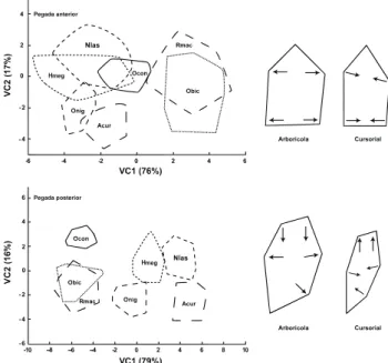 Figura 2. Topologia filogenética baseada no estudo de S MITH   &amp;