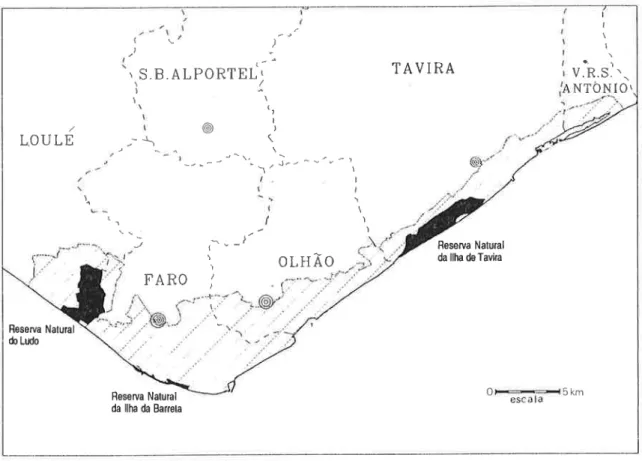 Figura 2.2 - Area do Parque Natural da Ria Formosa com as três Reservas Naturais correspondentes às inanchas pretas a cheio