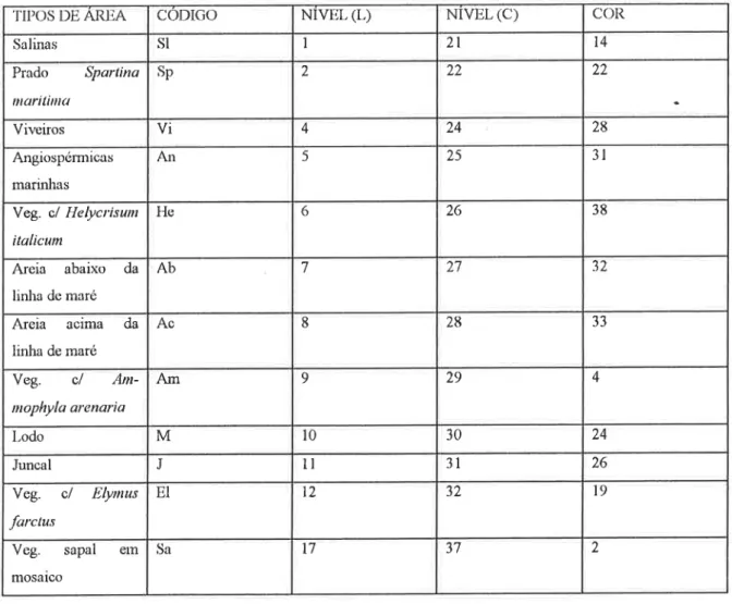Tabela 4.2 - Resuino dos tipos de uso do solo e padrões de vegetação e respectivos centróides do ficheiro da zona húmida e cordão dunar