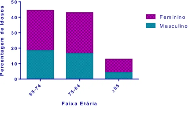Figura 10 - Distribuição de idosos por faixa etária e sexo. 