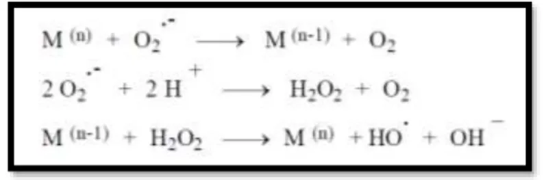 Figura I-2: Representação da reação de Fenton. Adaptado de Barbusinski et al. 14