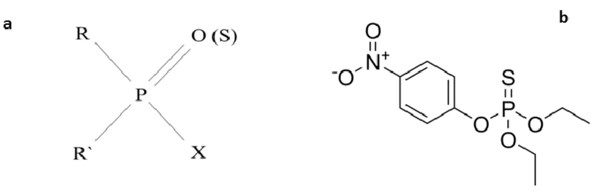 Figure  1.  Basic  structure  of  organophosphorus  insecticides  (a)  and  example  of  organophosphorus  insecticide-parathion (b)