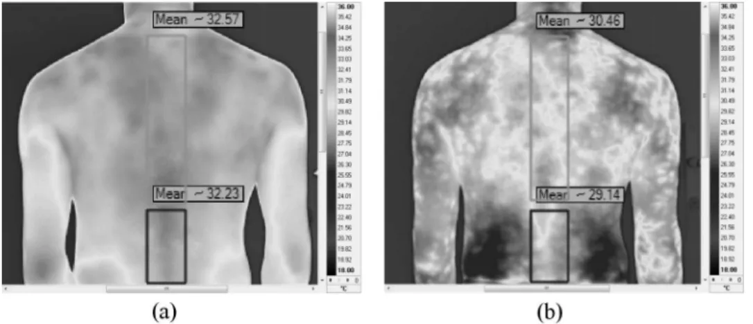 Figure 1. Thermograms with zones Th1–Th12 and L1–L5 marked: