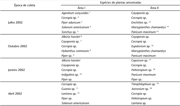 Tabela I. Espécies de plantas espontâneas visualmente mais abundantes, em diferentes épocas, em duas áreas de cultivo de seringueira no município de Olímpia, Estado de São Paulo.
