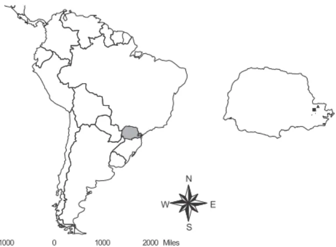 Figura 1. Mapa Localizando a Cidade de Balsa Nova (quadrado) e Curitiba (triângulo), no estado do Paraná, no Brasil e na América do Sul.