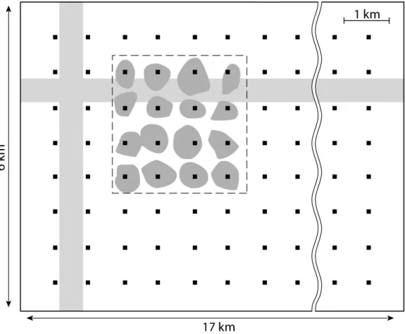 Figure 3: Implementation of the operational phase designed to control the development of mussel beds within the project area (Tactical objective)