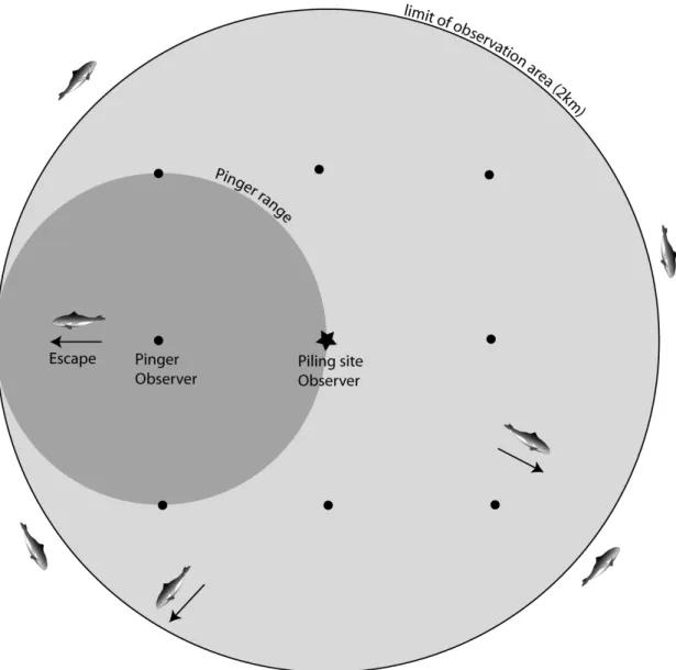 Figure 2: Example of field set up for an operational phase designed to scare porpoises during piling (see tactical objective)
