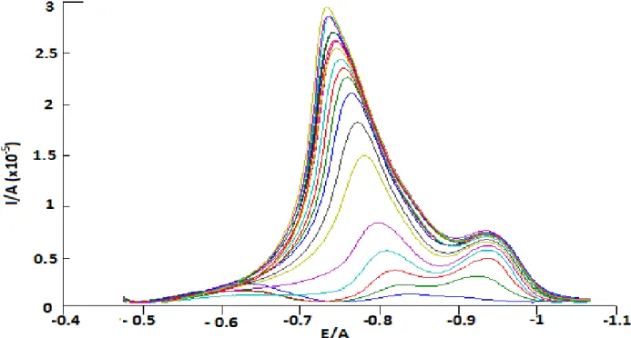 Figure 22.  Differential voltamogram s measured during the titration of 2x10 -5  M GSH with Cd  solution in borate buffer at pH 7.5 by using BiFE