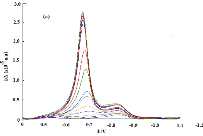 Figure 24. Differential voltamograms measured using the titration of 2x10 -5  M GSH with Cd  solution in borate buffer at pH 7.5 by using BiSPCE