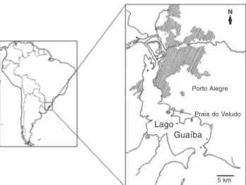 Figura 1. Mapa indicando o local de amostragem: praia do Velu- Velu-do, Belém Novo, margem esquerda do lago Guaíba, Porto Alegre, Rio Grande do Sul.