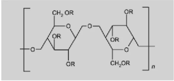 Figura 4 - Estrutura química da hidroxipropilmetilcelulose (HPMC) 