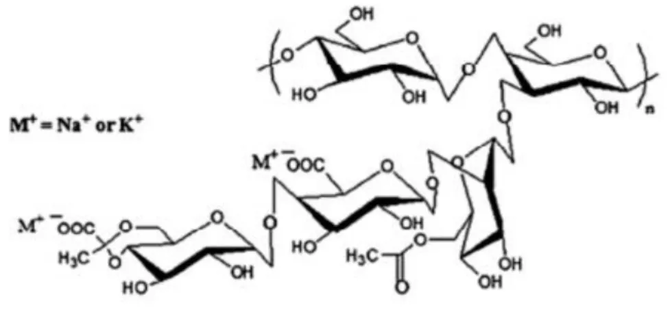 Figura 3 - Estrutura química da Goma Xantana 